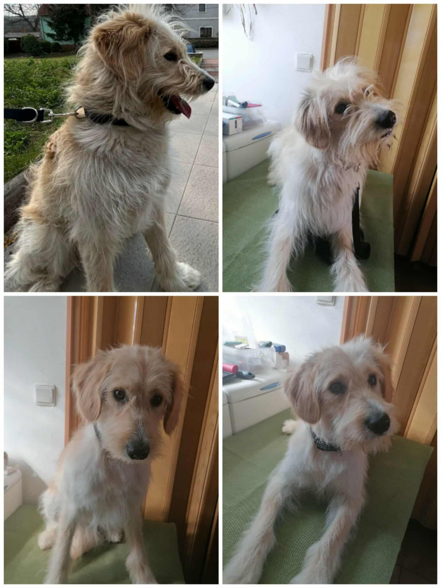 jeho první úprava trimování :-)
